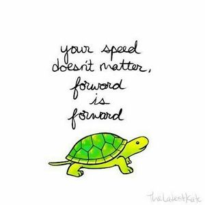 Meet your Posher, Richard & grace